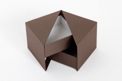 21. Packaging rigid box